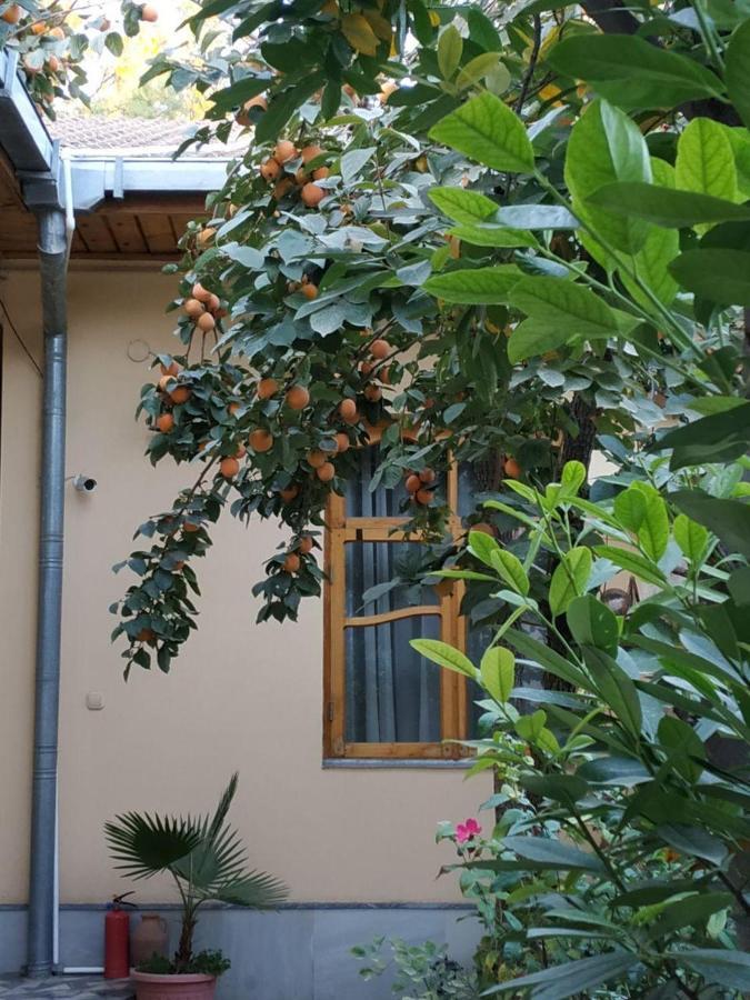 Hostel & Guest House Sim Sim Near The Church Samarkand Exterior photo