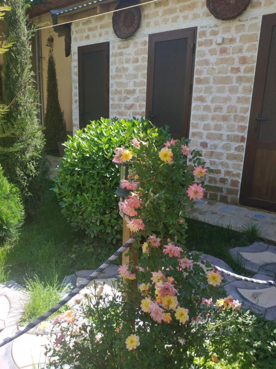 Hostel & Guest House Sim Sim Near The Church Samarkand Exterior photo