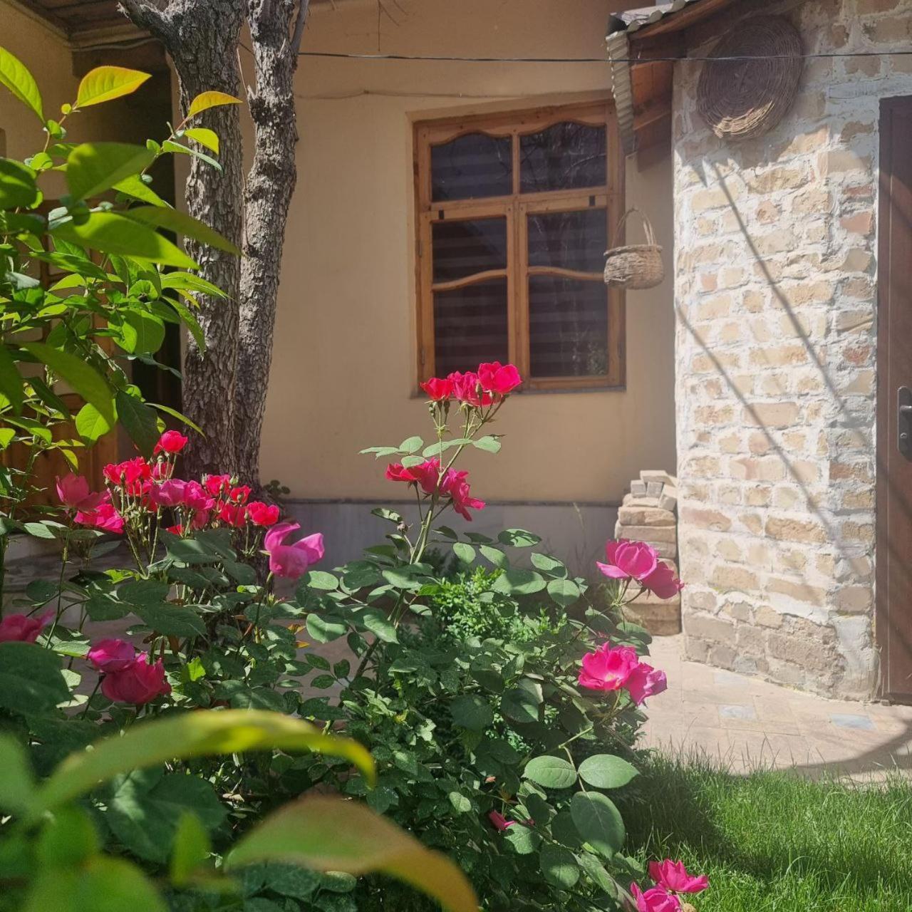 Hostel & Guest House Sim Sim Near The Church Samarkand Exterior photo
