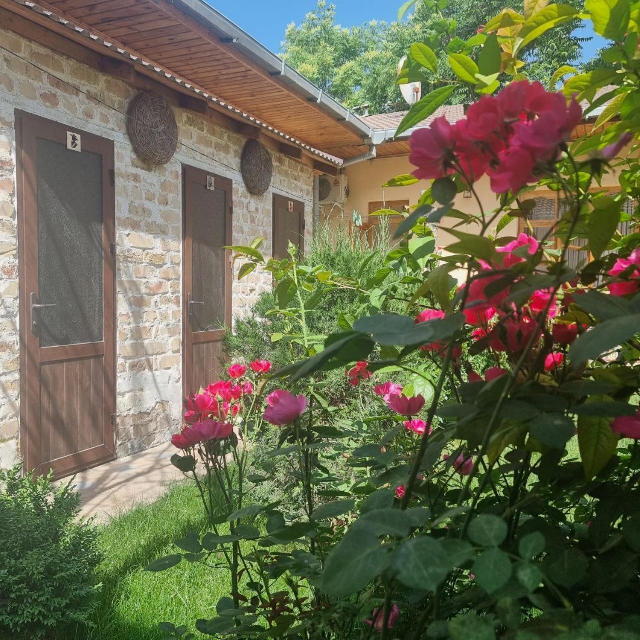 Hostel & Guest House Sim Sim Near The Church Samarkand Exterior photo